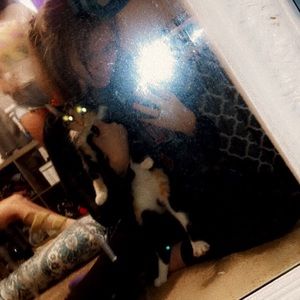 Meet your Posher, Jaycee